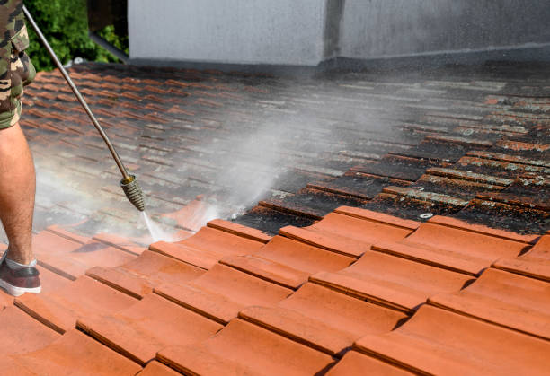 Best Deck Cleaning Services  in Sudan, TX